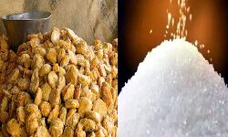 मंडी में गुड़ और चीनी के भाव मंडी में गुड़ और चीनी के भाव