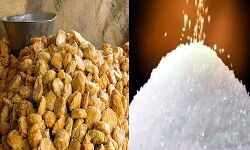 मंडी में गुड़ और चीनी के भाव मंडी में गुड़ और चीनी के भाव