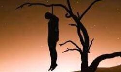 पेडों पर लटके तीन शव मिले पेडों पर लटके तीन शव मिले