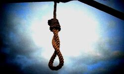 विवाहिता ने पिता के घर पर लगाई फांसी विवाहिता ने पिता के घर पर लगाई फांसी