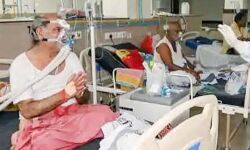 आफत में राहत- कोविड-19 के मामलों में आई कमी- स्वस्थ होने वाले भी बढे आफत में राहत- कोविड-19 के मामलों में आई कमी- स्वस्थ होने वाले भी बढे