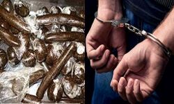 11 तस्कर गिरफ्तार- हेरोइन, चरस बरामद