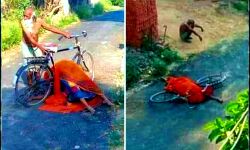 नही मिला कंधा देने वाला-पत्नी का शव साइकिल पर लेकर घूमता रहा बुजुर्ग नही मिला कंधा देने वाला-पत्नी का शव साइकिल पर लेकर घूमता रहा बुजुर्ग