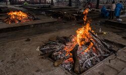 श्मशान में चिताओं के लिए लकड़ी की कमी-मेयर ने सीएम को लिखी चिट्ठी