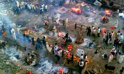 1 दिन में रिकॉर्ड 240 शवों का हुआ दाह संस्कार 1 दिन में रिकॉर्ड 240 शवों का हुआ दाह संस्कार