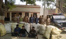 पुलिस का इकबाल बुलंद- 5 करोड़ का गांजा बरामद- 3 को भेजा कारागार पुलिस का इकबाल बुलंद- 5 करोड़ का गांजा बरामद- 3 को भेजा कारागार