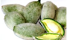 पोषक तत्वों से भरपूर है हरा बादाम पोषक तत्वों से भरपूर है हरा बादाम