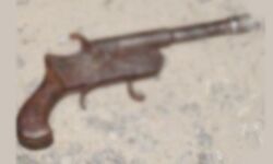 नीरज हत्याकांड- हत्यारोपी की निशानदेही पर तमंचा बरामद