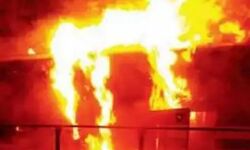 भीषण अग्निकांड में सात मवेशियों की मौत,किशोर झुलसा भीषण अग्निकांड में सात मवेशियों की मौत,किशोर झुलसा