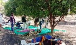 कोरोना के मौके पर चौका- झोलाछाप ने संतरे के बाग में बना दिया अस्पताल कोरोना के मौके पर चौका- झोलाछाप ने संतरे के बाग में बना दिया अस्पताल