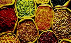 खाद्य तेलों- चीनी में टिकाव- गेहूं सस्ता- मूंग दाल महंगी