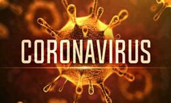 यूपी में 34,636 ने दी कोरोना को मात- 296 की मौत