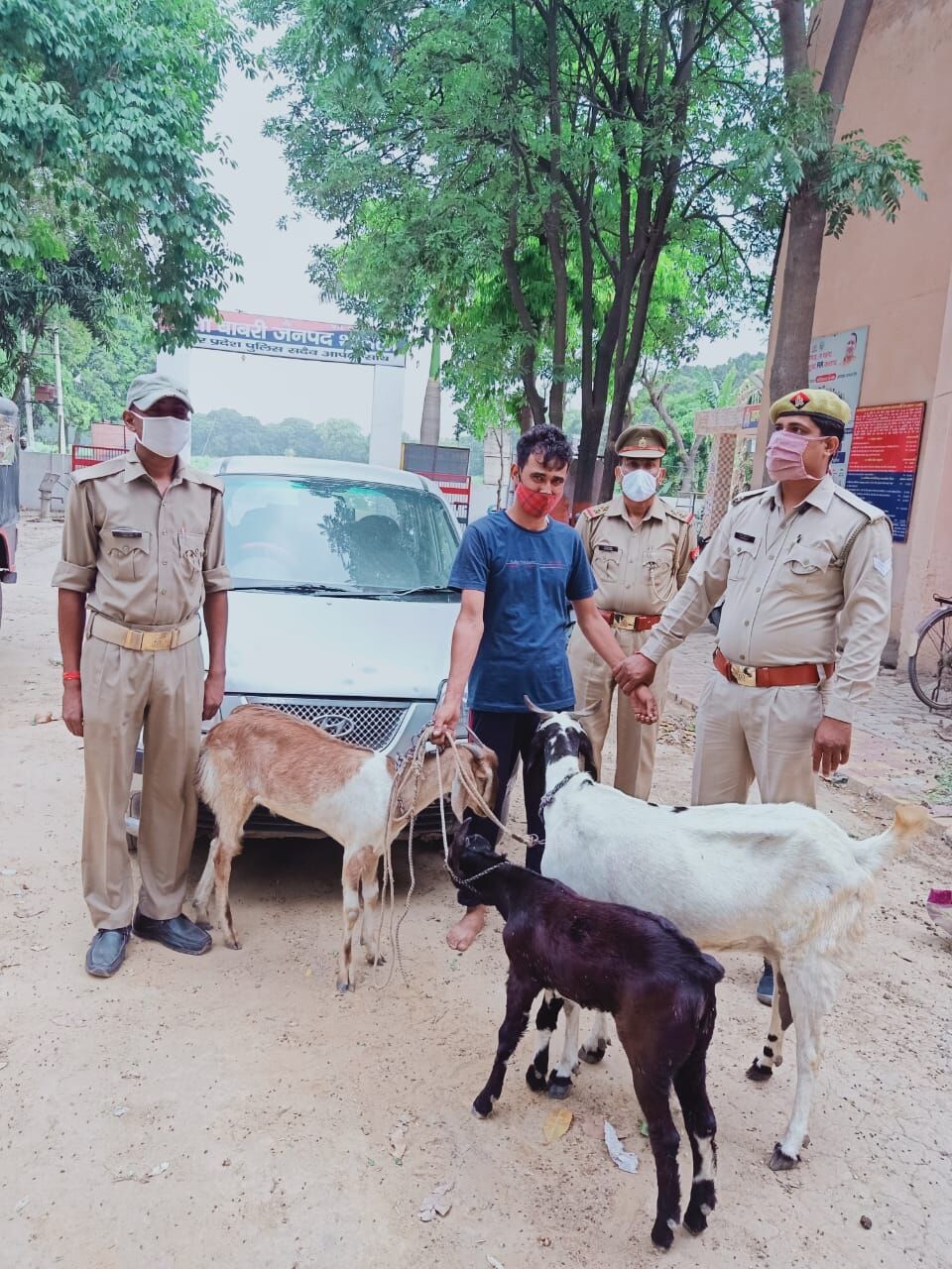 बाबरी पुलिस ने पकड़ा पशु चोर- चोरी के माल समेत कार बरामद बाबरी पुलिस ने पकड़ा पशु चोर- चोरी के माल समेत कार बरामद