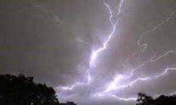 आसमान से गिरी बिजली तो 18 जंगली हाथियों को देनी पड़ी जान आसमान से गिरी बिजली तो 18 जंगली हाथियों को देनी पड़ी जान