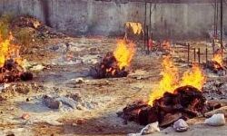 गांव लिब्बरहेडी- अवधि 15 दिन- 35 लोगों की मौत- रोज दो से तीन चिताए