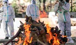 कोरोना मृतक आंकड़े छिपा रहे CM इस्तीफा दें- कांग्रेस कोरोना मृतक आंकड़े छिपा रहे CM इस्तीफा दें- कांग्रेस