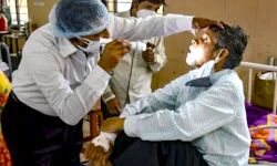 बोला केंद्र-ब्लैक फंगस को महामारी घोषित करें राज्य-दे सारी जानकारी बोला केंद्र-ब्लैक फंगस को महामारी घोषित करें राज्य-दे सारी जानकारी