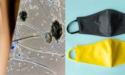 मास्क में नमी के कारण फैल रहा ब्लैक फंगस मास्क में नमी के कारण फैल रहा ब्लैक फंगस