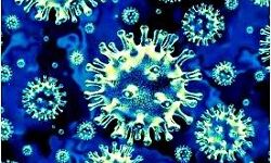 ब्लैक फंगस पीड़ित एक बालिका का हुआ सफल ऑपरेशन ब्लैक फंगस पीड़ित एक बालिका का हुआ सफल ऑपरेशन