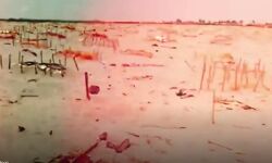 फिर दिखने लगे संगम किनारे दबे शव-प्रशासन ने ढके फिर दिखने लगे संगम किनारे दबे शव-प्रशासन ने ढके