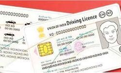 DL बनवाने की उम्मीदों को झटका-30 जून तक नहीं बनेंगे लाइसेंस DL बनवाने की उम्मीदों को झटका-30 जून तक नहीं बनेंगे लाइसेंस