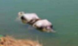 कोरोना से मृत का शव नदी में फेंका, मुकदमा दर्ज