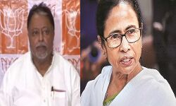 ममता के समर्थन में उतरे भाजपा नेता के पुत्र-पार्टी को दी नसीहत ममता के समर्थन में उतरे भाजपा नेता के पुत्र-पार्टी को दी नसीहत