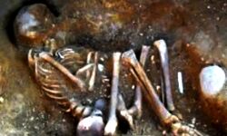 मचा हड़कंप-गांव में मिले 5 नर कंकाल-जांच शुरू मचा हड़कंप-गांव में मिले 5 नर कंकाल-जांच शुरू