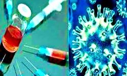 ब्लैक फंगस के इंजेक्शन की कालाबाजारी-मेडिकल संचालक को भेजा जेल ब्लैक फंगस के इंजेक्शन की कालाबाजारी-मेडिकल संचालक को भेजा जेल