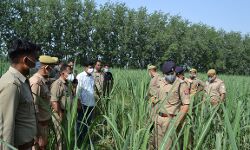 माधव की कप्तानी का कमाल- तत्काल ही कर दिया लूट का खुलासा