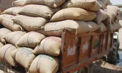 गरीबों के हक पर डाका- BJP MLA ने पकड़वाई अनाज की बोरियां गरीबों के हक पर डाका- BJP MLA ने पकड़वाई अनाज की बोरियां