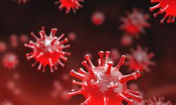 मुजफ्फरनगर को मिलेगी कोरोना कर्फ्यू से मुक्ति? मुजफ्फरनगर को मिलेगी कोरोना कर्फ्यू से मुक्ति?