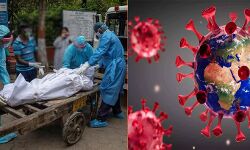 कोरोना से मौत-7 देशों के अनचाहे रिकॉर्ड की बराबरी करेगा यह राज्य कोरोना से मौत-7 देशों के अनचाहे रिकॉर्ड की बराबरी करेगा यह राज्य