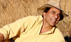 धर्मेन्द्र ने योग और वाटर एरोबिक्स शुरू की