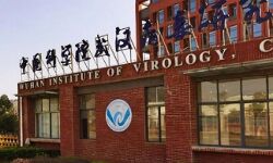 अमेरिकी रिपोर्ट का दावा-वुहान लैब से ही लीक हुआ था कोरोना वायरस? अमेरिकी रिपोर्ट का दावा-वुहान लैब से ही लीक हुआ था कोरोना वायरस?