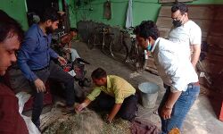 गऊओं की सेवा में जुटा गौसेवा परिवार-किया आशीर्वाद प्राप्त