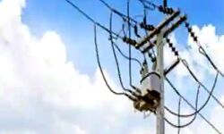 चोरी से बिजली जलाते 9 पकड़े- मुकदमा दर्ज