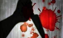 साथ में शराब पी रही पत्नी को चाकुओं से गोदा-मा़ं पर भी वार