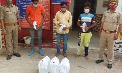 तीन अपराधी अरेस्ट तीन अपराधी अरेस्ट