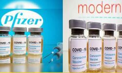 सरकार का ऐलान-मुफ्त में नहीं लगेगी यह कोरोना वैक्सीन सरकार का ऐलान-मुफ्त में नहीं लगेगी यह कोरोना वैक्सीन