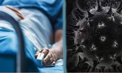 ब्लैक फंगस का खतरनाक रूप- मस्तिष्क में मिला क्रिकेट बॉल जितना फंगस ब्लैक फंगस का खतरनाक रूप- मस्तिष्क में मिला क्रिकेट बॉल जितना फंगस