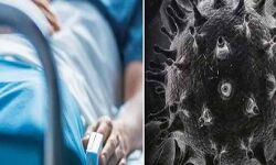 ब्लैक फंगस का खतरनाक रूप- मस्तिष्क में मिला क्रिकेट बॉल जितना फंगस