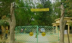 कोरोना के बाद कार्बेट पार्क अब मानसून सीजन में पूरी तरह से बंद कोरोना के बाद कार्बेट पार्क अब मानसून सीजन में पूरी तरह से बंद