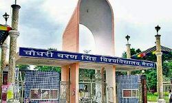 CCS यूनिवर्सिटी की परीक्षाएं 2 जुलाई से-4 पालियों में होगी परीक्षा CCS यूनिवर्सिटी की परीक्षाएं 2 जुलाई से-4 पालियों में होगी परीक्षा