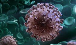 इस देश में पाया गया कोविड-19 का नया वेरिएंट