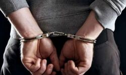 एप्पल डेली अखबार के 4 अधिकारी गिरफ्तार-अमेरिका ने की निंदा