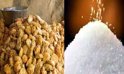 मंडी में गुड़ और चीनी के भाव इस प्रकार रहे मंडी में गुड़ और चीनी के भाव इस प्रकार रहे