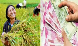 सरकार ने किसानों के बैंक खातों में 5145 करोड़ रुपये जमा कराये