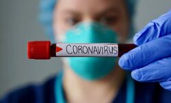 कोरोना वायरस-सक्रिय मामलों में कमी-रिकवरी दर बढ़ी