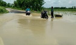 बढ़ा जलस्तर-फसलों को नुकसान-सड़कों पर पानी से रास्ते बंद बढ़ा जलस्तर-फसलों को नुकसान-सड़कों पर पानी से रास्ते बंद